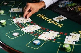 pro444 Sportsbook cricket market offer